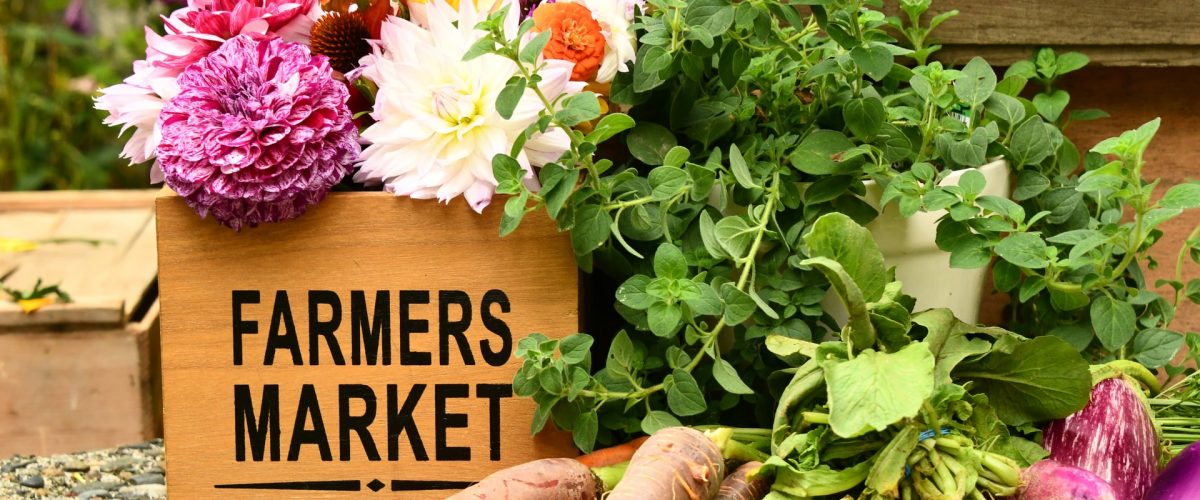 holland-farmers-market